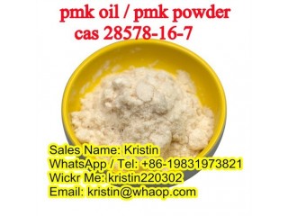 Pmk oil pmk powder Cas28578-16-7 safe delivery to Canada Europe