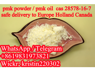 Free sample good conversion pmk powder,pmk oil Cas28578-16-7