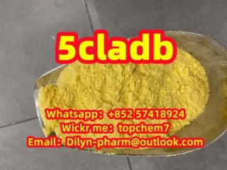 Real manufacturer 5cladba powder 5FADB raw material 6cladba adbb 100% safe delivery