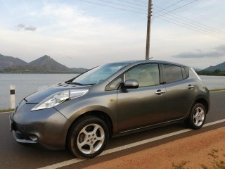 Nissan Hybrid leaf (hybrid battery)