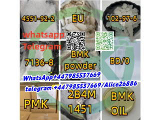 BMK/PMK CAS 28578-16-7/20320-59-6/5413-05-8/13605-48-6